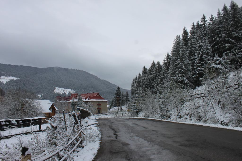 Sadyba Kazkove Dzherelo Verkhovyna Exterior foto