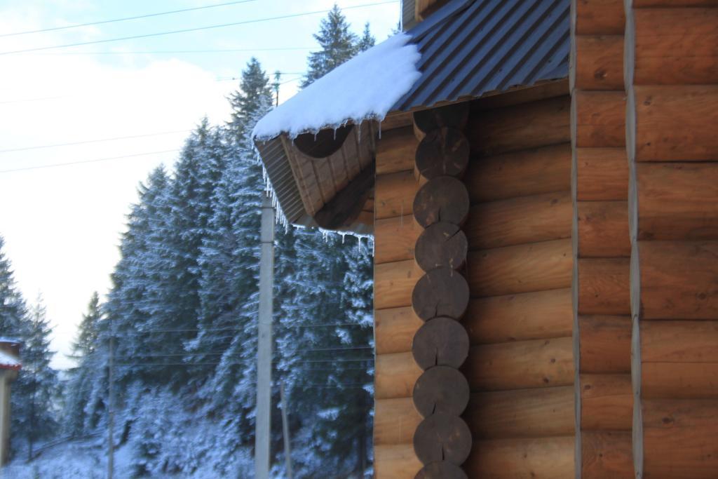 Sadyba Kazkove Dzherelo Verkhovyna Exterior foto